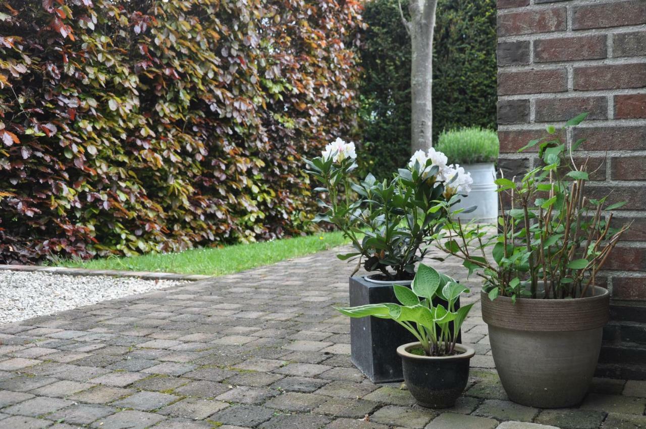 De Logeur Bed & Breakfast Asse Exterior foto